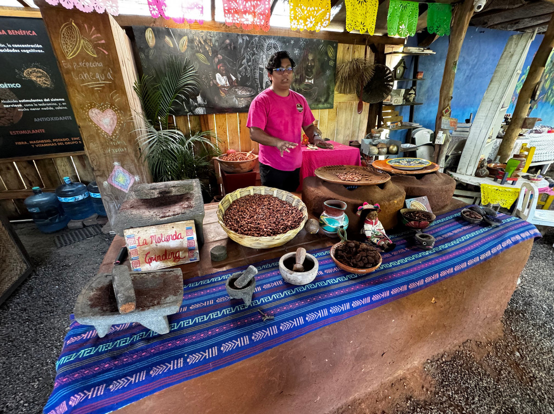 Planeta Cacao-Bahia de Banderas Municipality必去景点