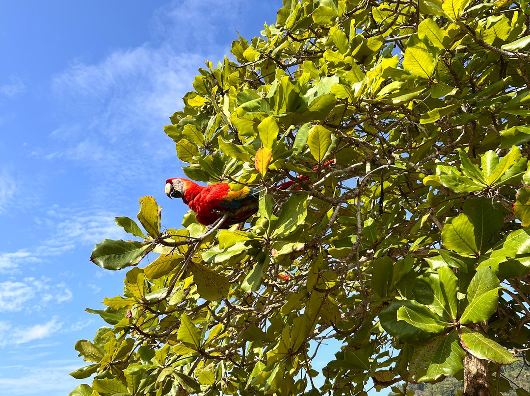 Pura Vida Experiences-Playa Hermosa必去景点
