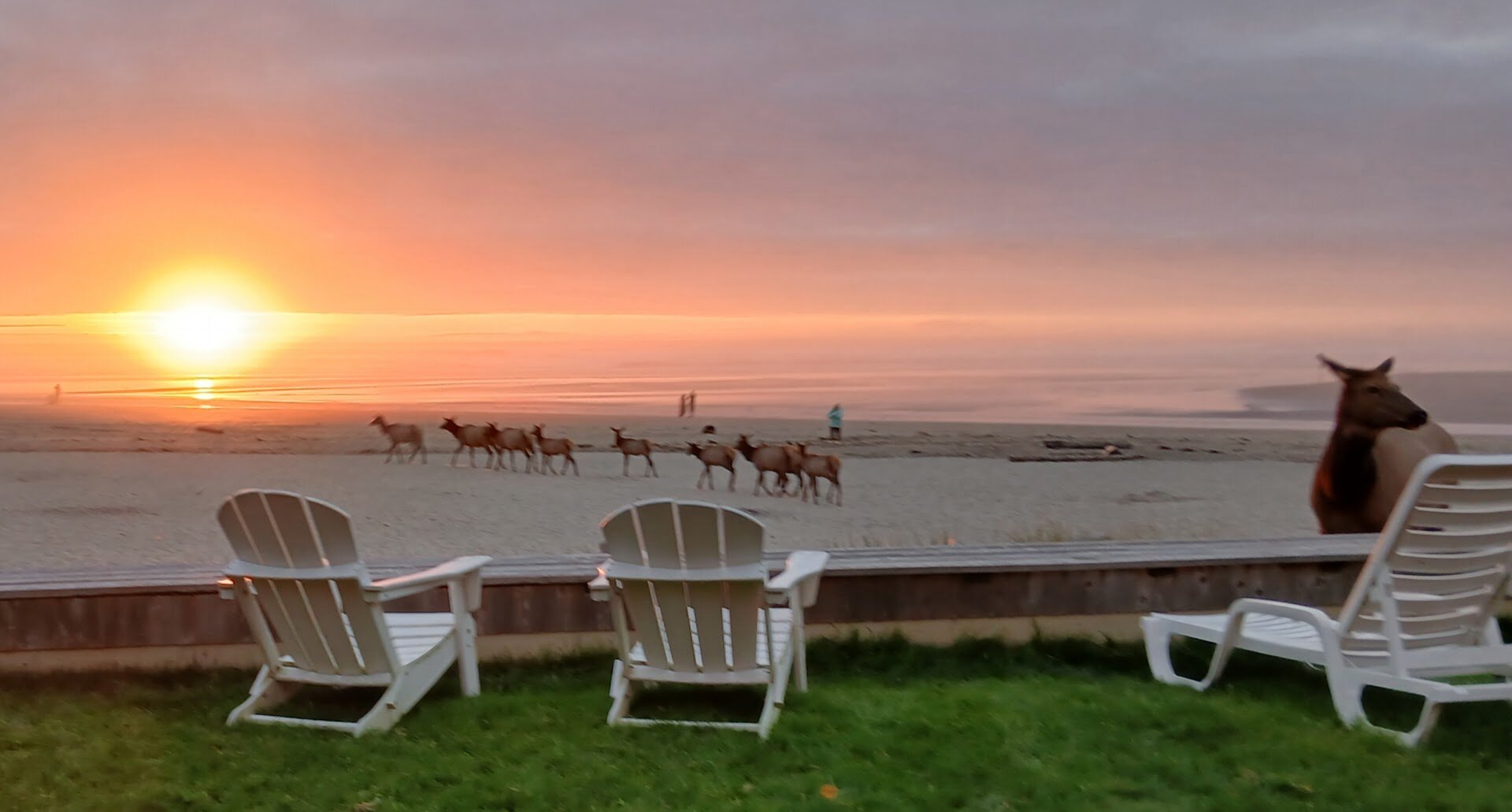 Schooner's Cove Inn-官方