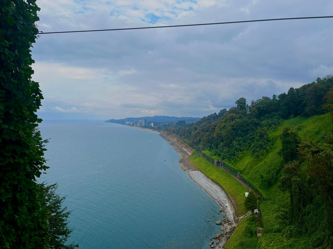 Batumi Botanical Gardens-巴统必去景点