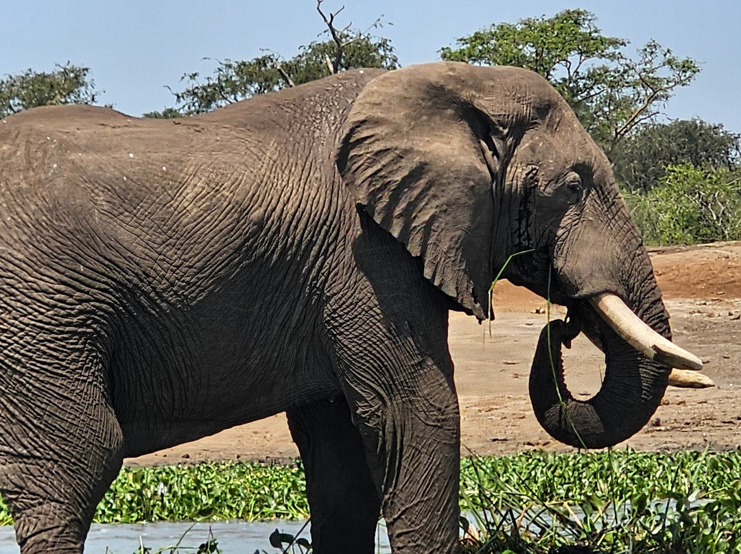 Mj Safaris Uganda-坎帕拉必去景点