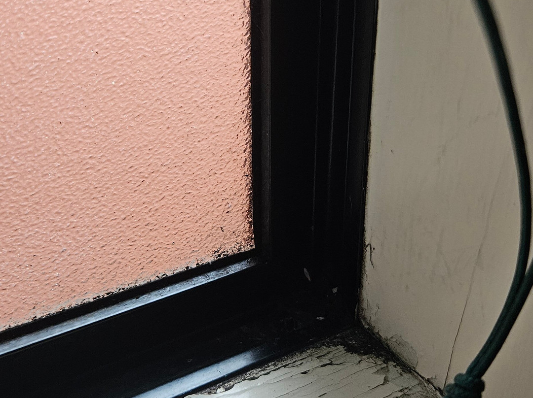 Pavilion Motel & Conference Centre主图