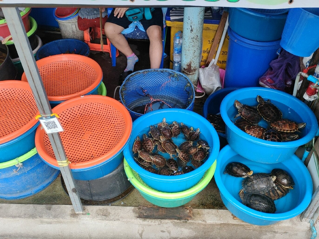 孔堤集市-曼谷必去景点