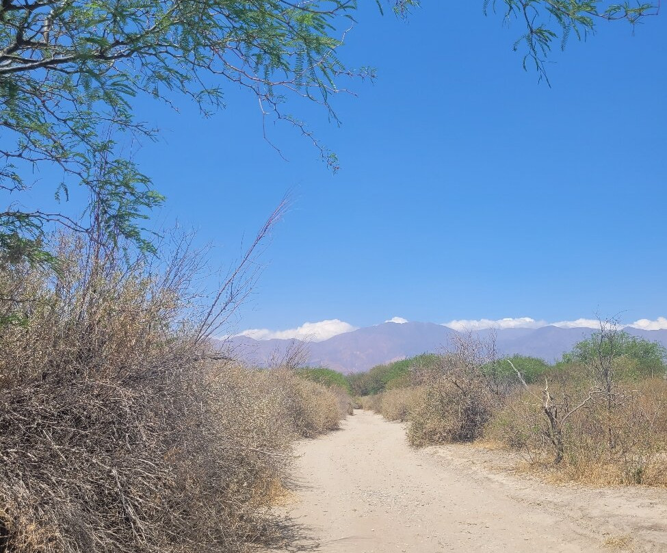 Los Medanos-卡法亚特必去景点