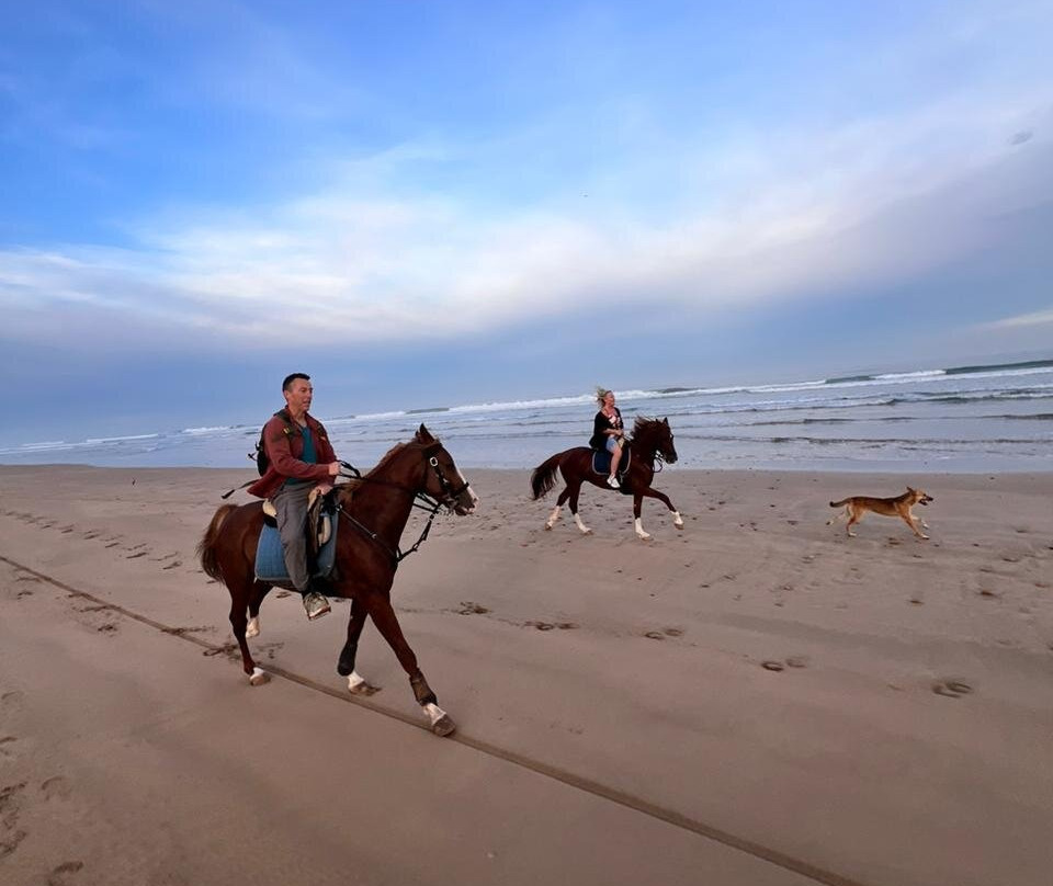 Mogador Horse-Diabat必去景点