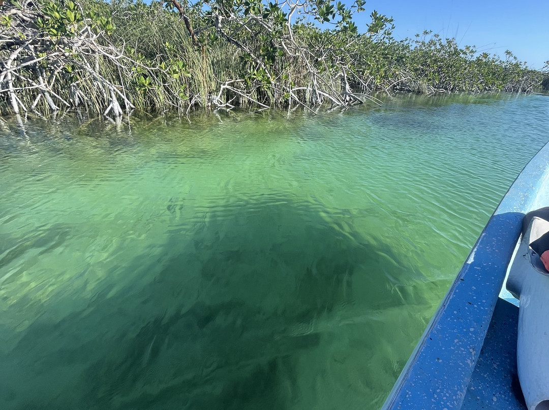 Zona Arqueológica de Muyil-Chunyaxche必去景点