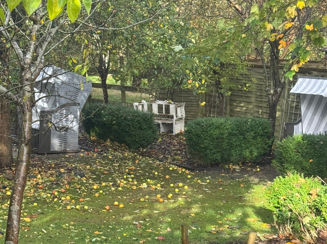 Hotel Kleine Auszeit主图