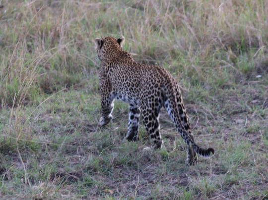 Wild Springs Adventures-内罗毕必去景点