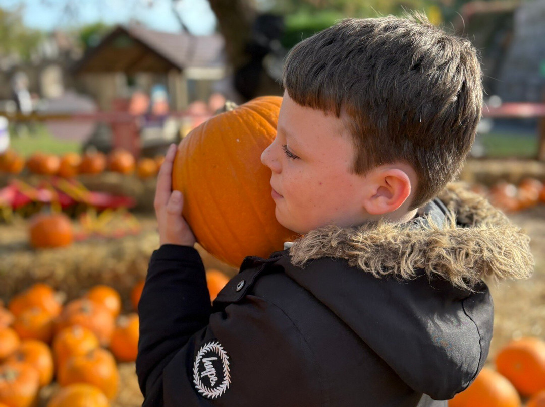 Pettitts Animal Adventure Park-Reedham必去景点