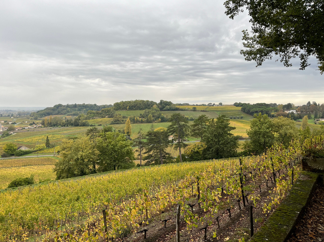 Château de Pressac-Saint-Etienne-De-Lisse必去景点
