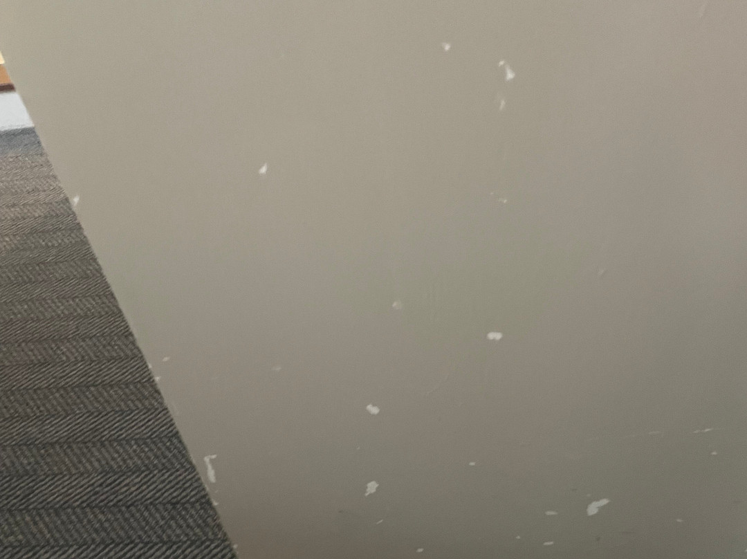 阿波得坎特伯雷酒店主图