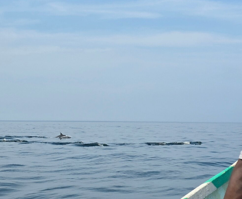 Socotra Trek Tours-Hadiboh必去景点