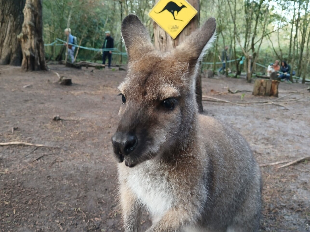 Le Parc Myocastors-Dolus-d'Oleron必去景点