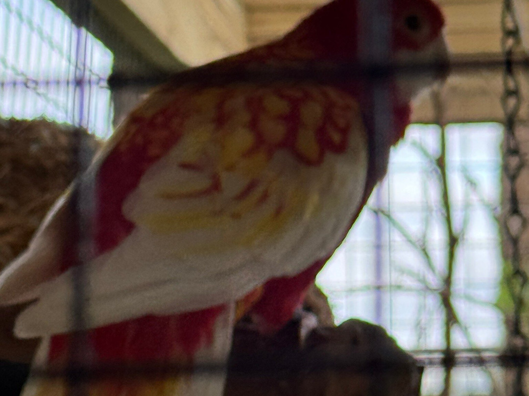 Barefoot Mailman Inn & Suites, Lantana, West Palm Beach, South Florida主图