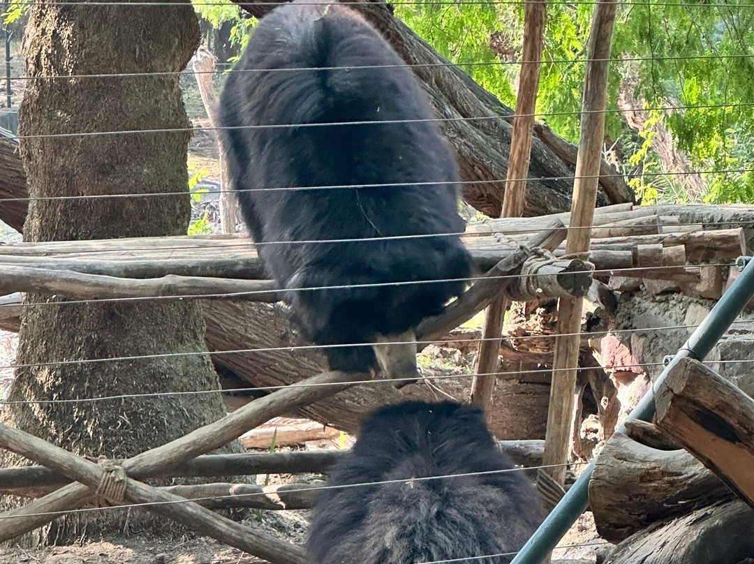 Wildlife Sos-阿格拉必去景点