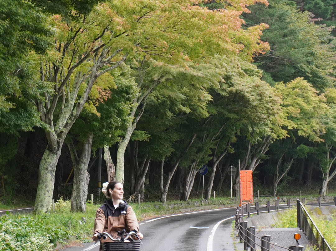 Momiji Tunnel-富士河口湖町必去景点