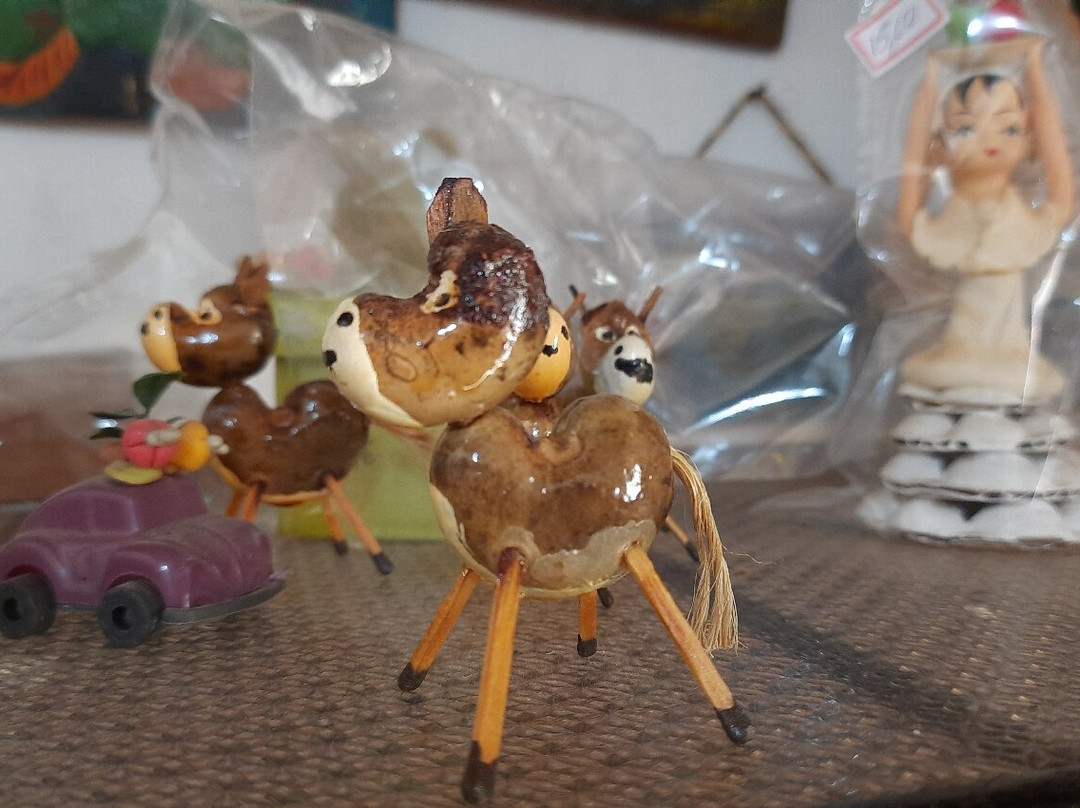 Museu do Caju-Caucaia必去景点