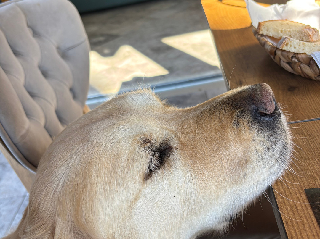 1774 Kazdagi Termal Butik Otel主图