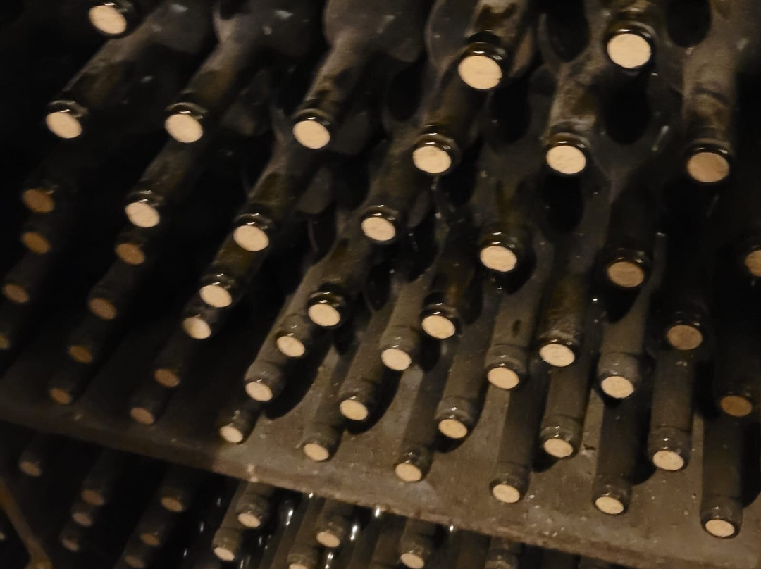 Bodegas Lecea-San Asensio必去景点