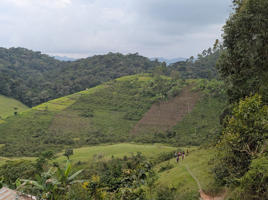 Katona Tours and Travel-吉佳利必去景点