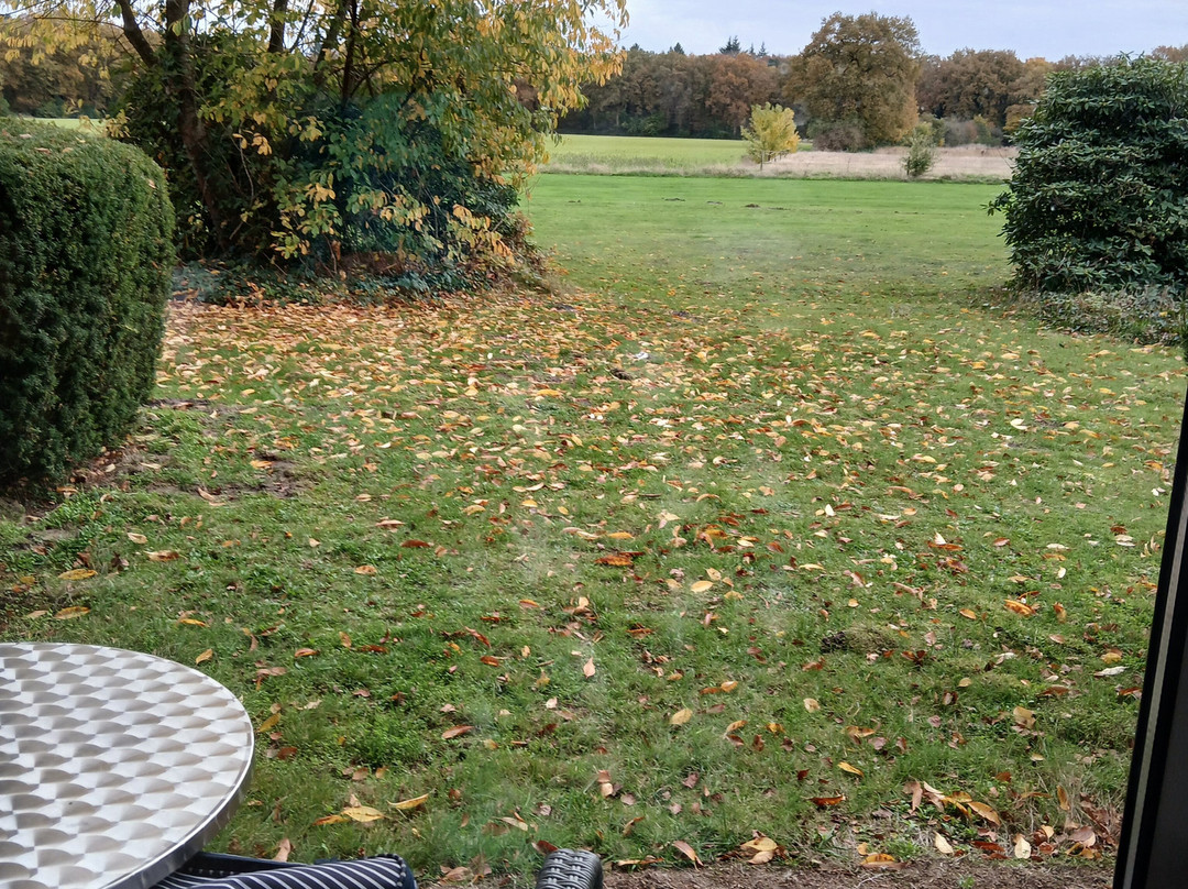 Fletcher Hotel Restaurant De Zeegser Duinen主图