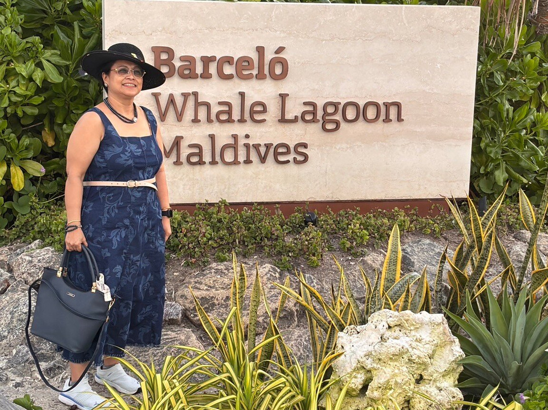 Footloose Yatra-班加罗尔必去景点