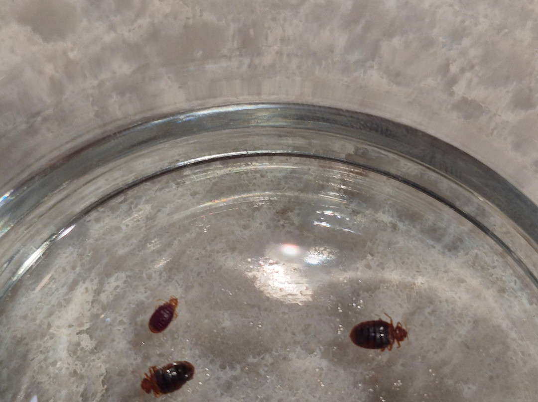 Ramada by Wyndham Grassland主图