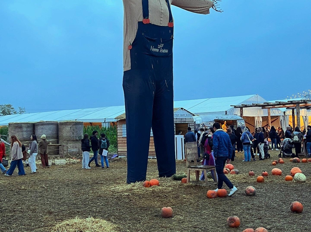 Nonno Andrea-维洛尔巴必去景点