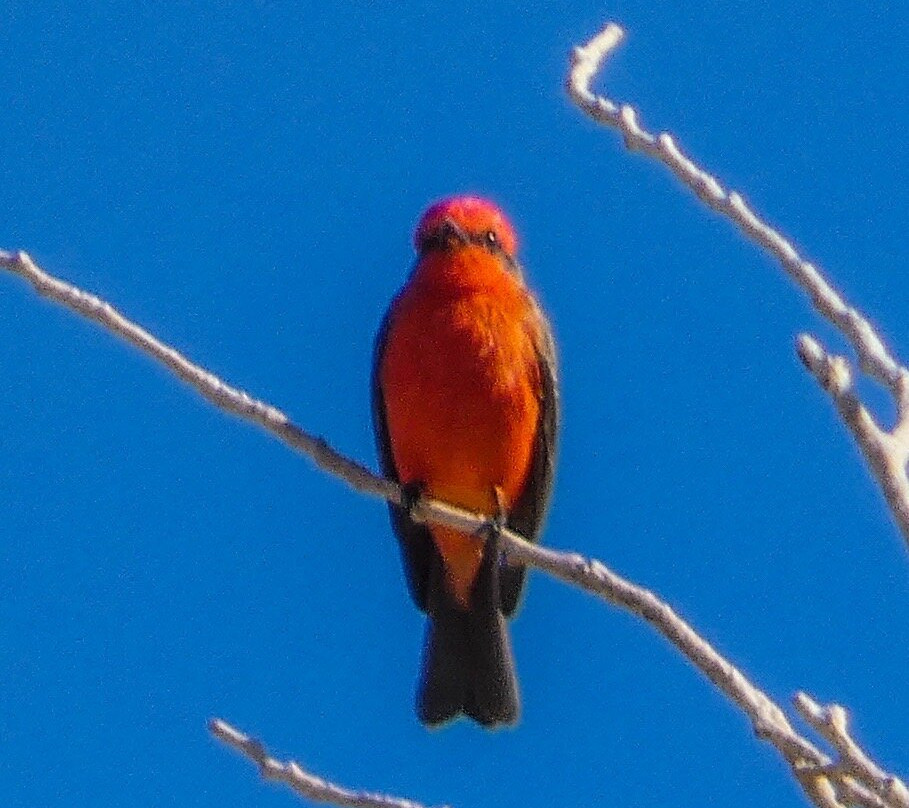 Get Lost Tours-Terlingua必去景点