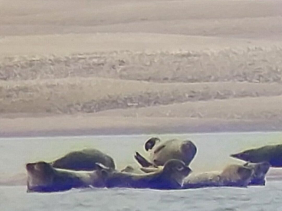 Rando Baie de Somme-Favieres必去景点