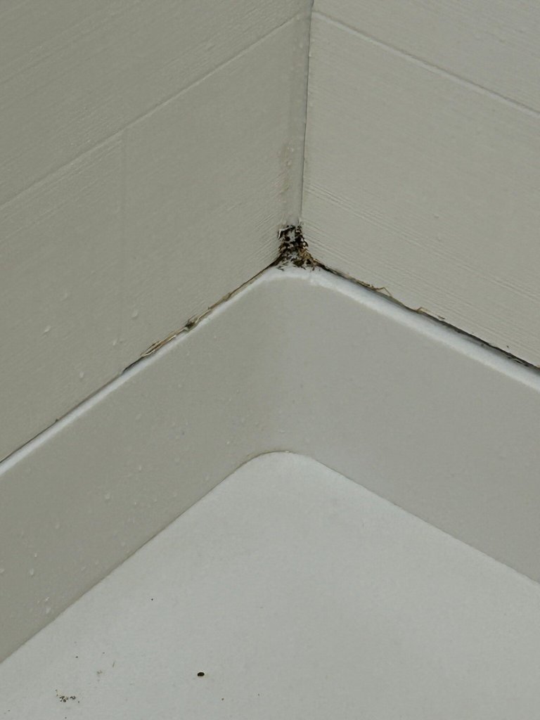 Baymont by Wyndham Kingsland-官方