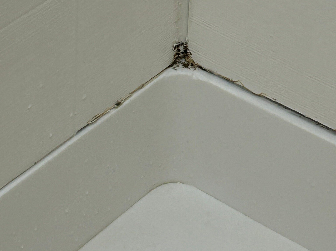 Baymont by Wyndham Kingsland主图