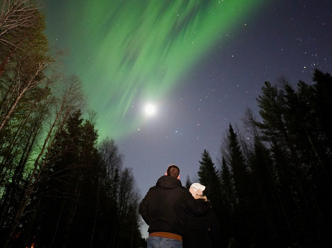Wild Blueberry-罗瓦涅米必去景点