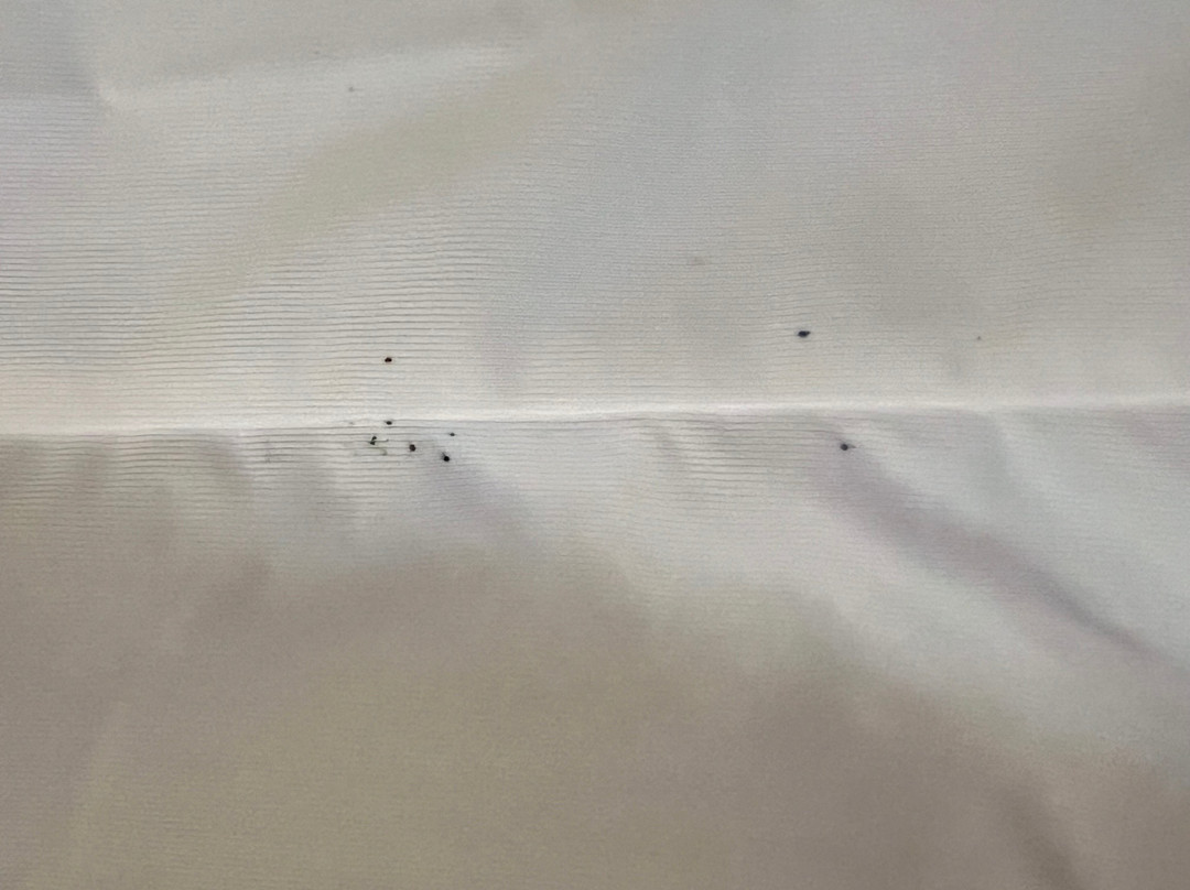 Twin Oaks Motel主图