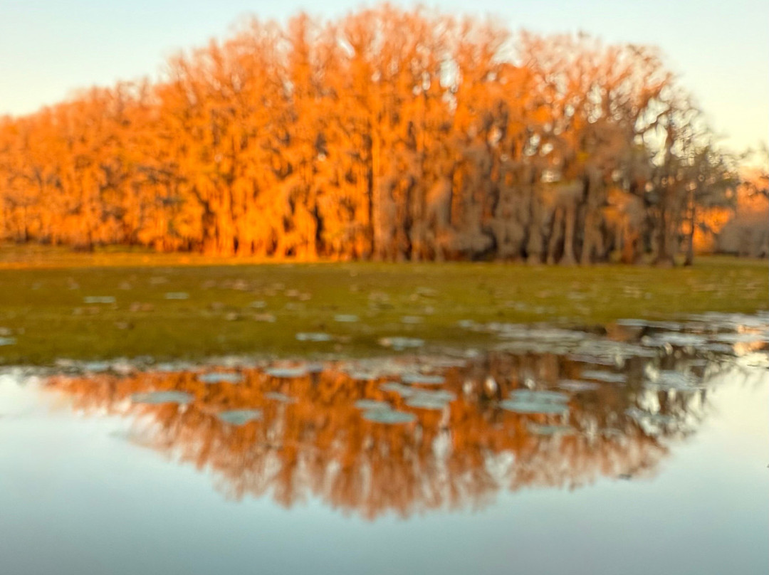 Captain Ron's Swamp Tours-Karnack必去景点