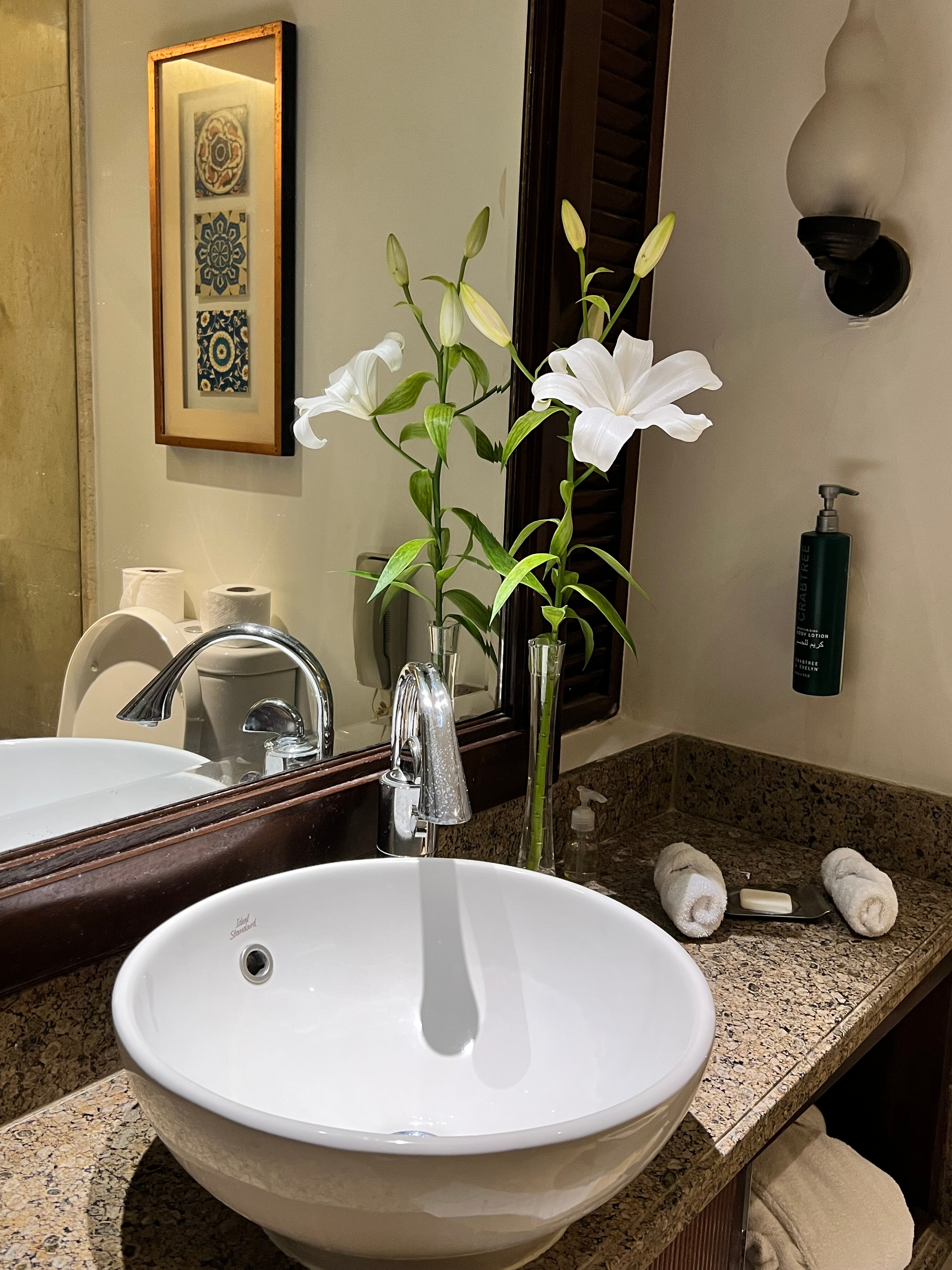 希尔顿卢克索度假村-浴室