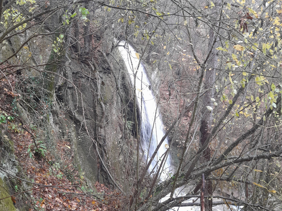 Natural Monument Ripaljka-Soko Banja必去景点