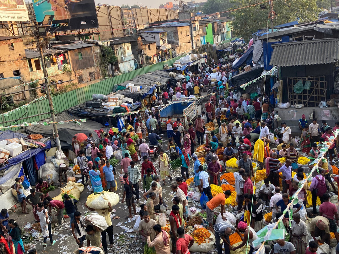 Malik Ghat Flower Market-加尔各答（亦写作“Calcutta”）必去景点