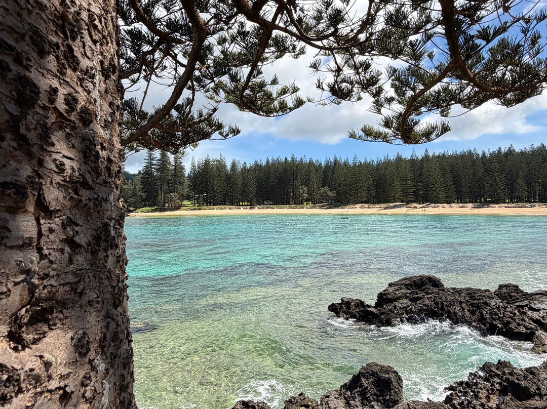 Great Value Holidays-凯恩斯必去景点