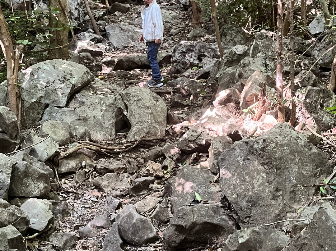 Khao Nang Phanthurat Forest Park-七岩必去景点