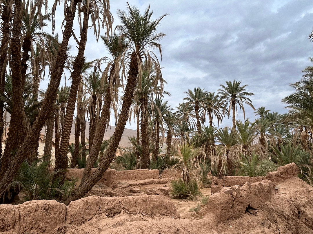 Marrakech Trekking-马拉喀什必去景点