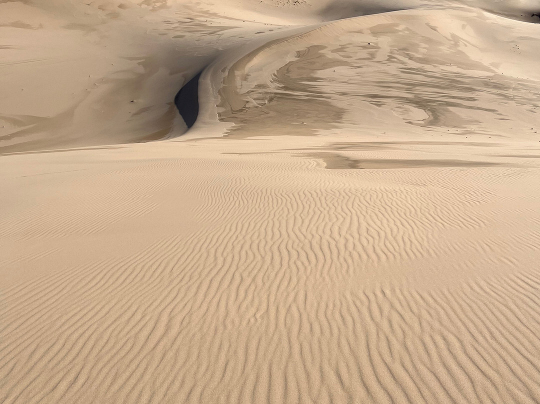 Nur Altai Tour-乌兰巴托必去景点