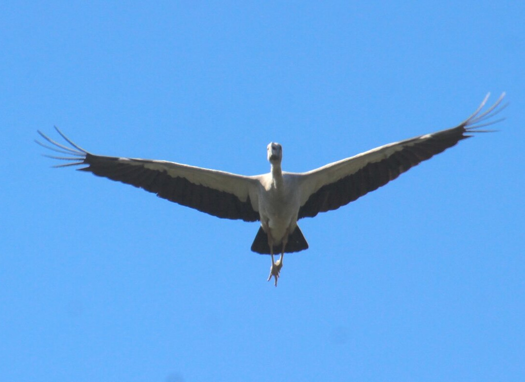 Orient Tourism Channel-达卡市必去景点