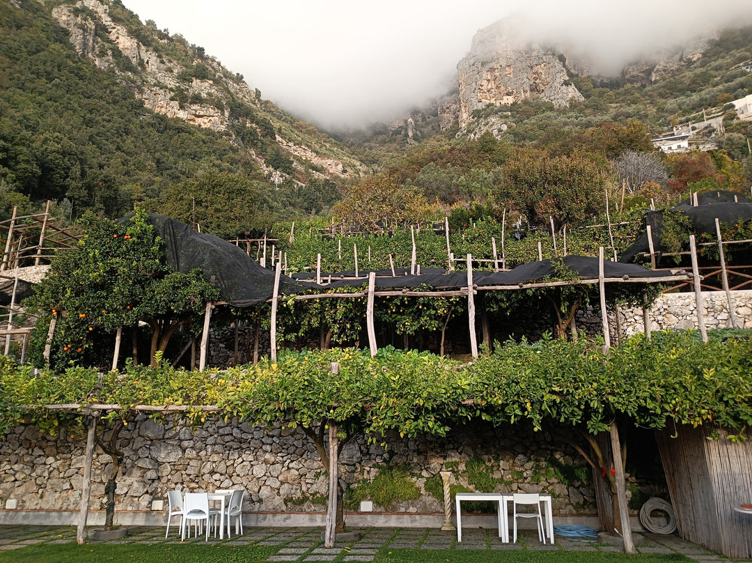 Residenza Al Pesce d'Oro主图