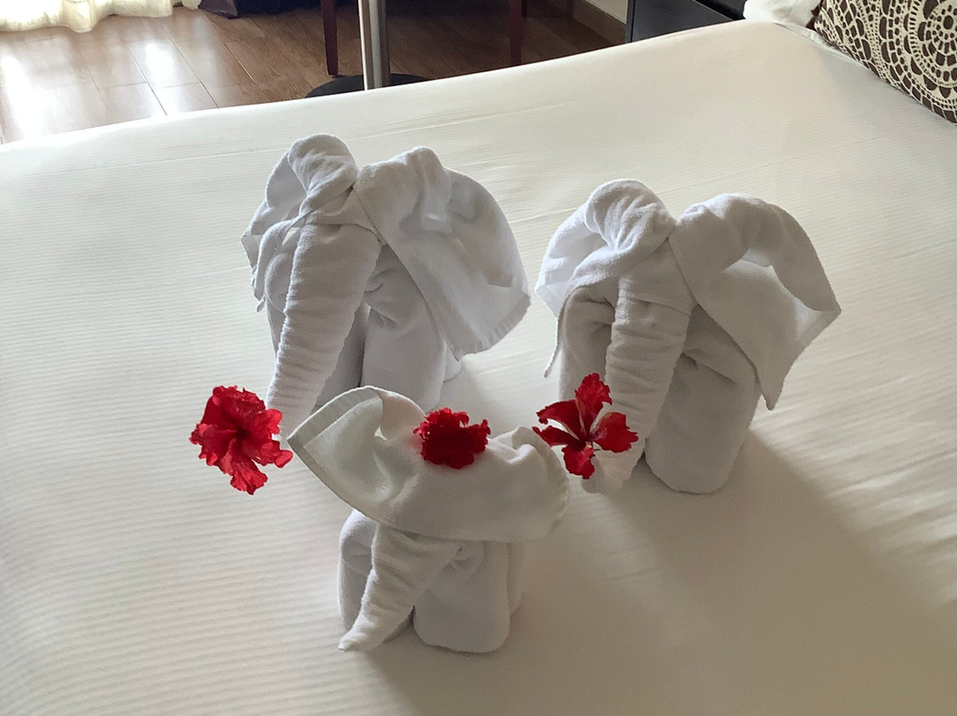 斯里兰卡悦宜湾酒店主图