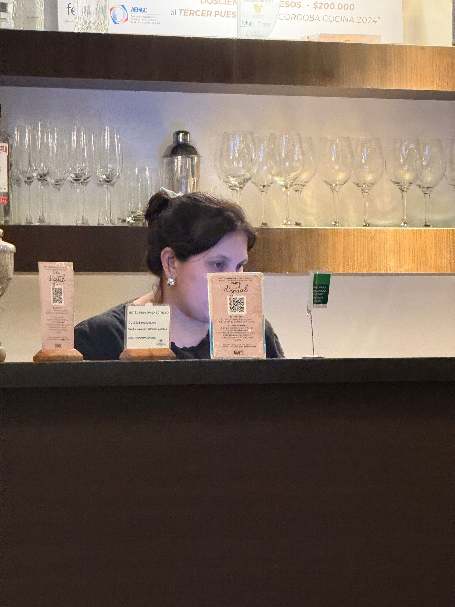 Hotel Posada Maestosso-官方