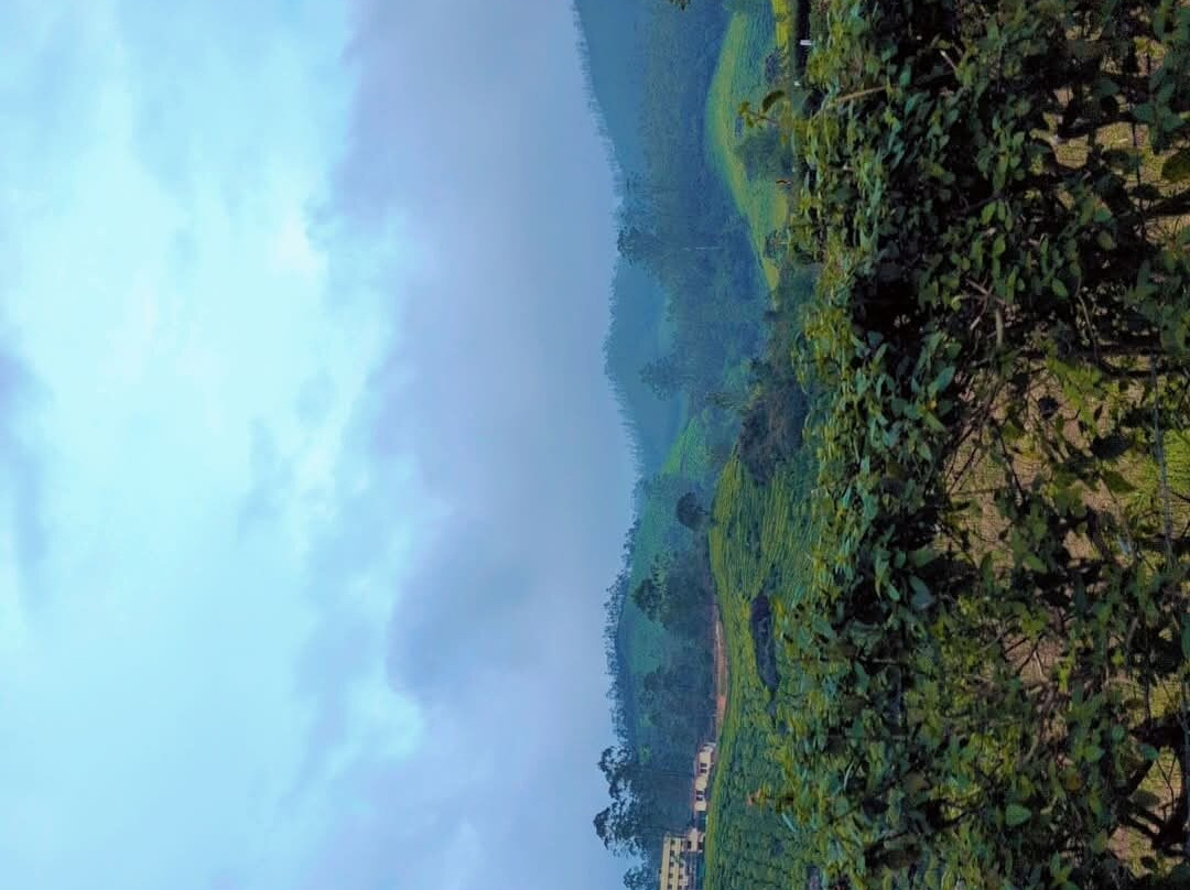 Kerala Holidays-柯钦必去景点