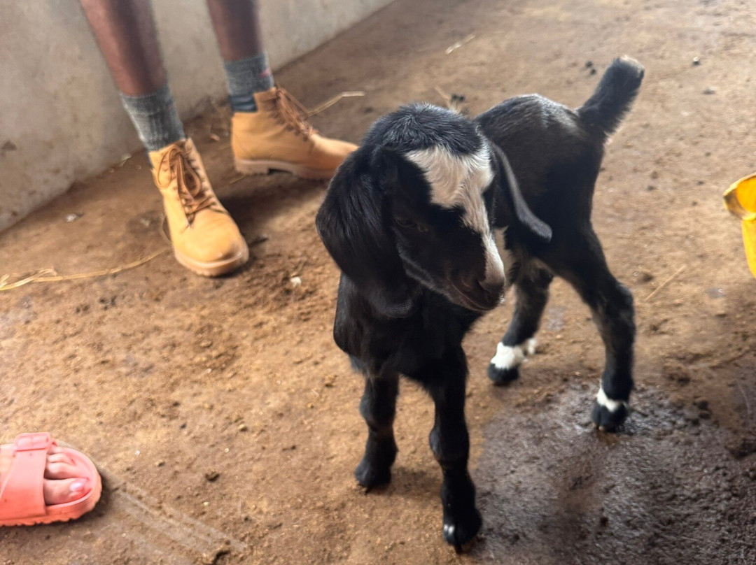 Nature net-Maio必去景点