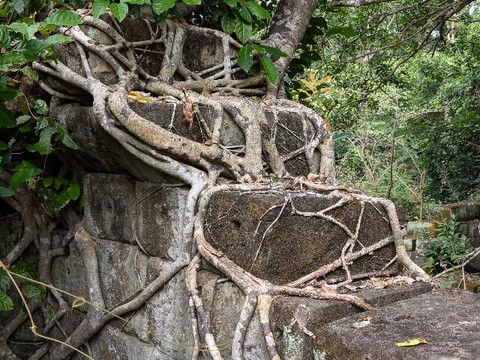 T-vision Trip-金边必去景点