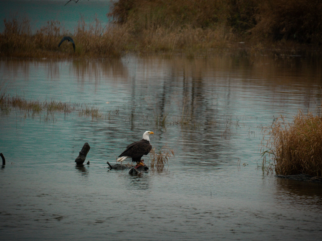 Shoreline Tours-哈里逊温泉必去景点